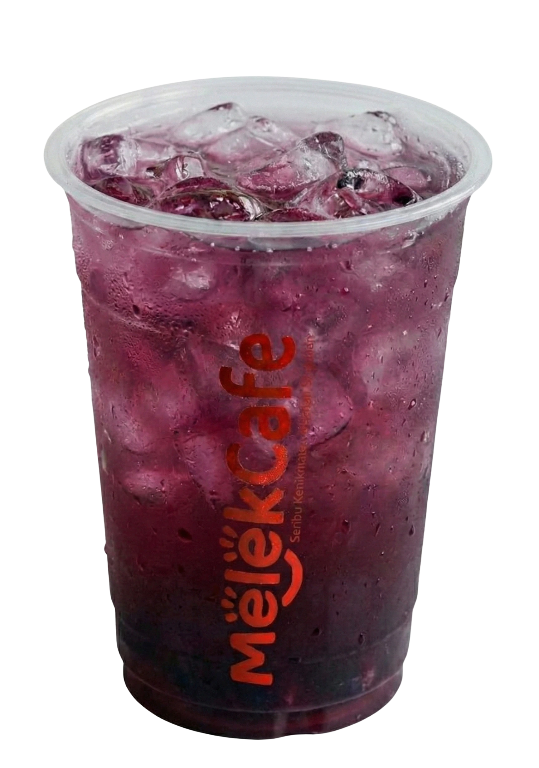 Blackcurrent